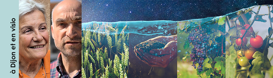 Téléchargez les images - 0